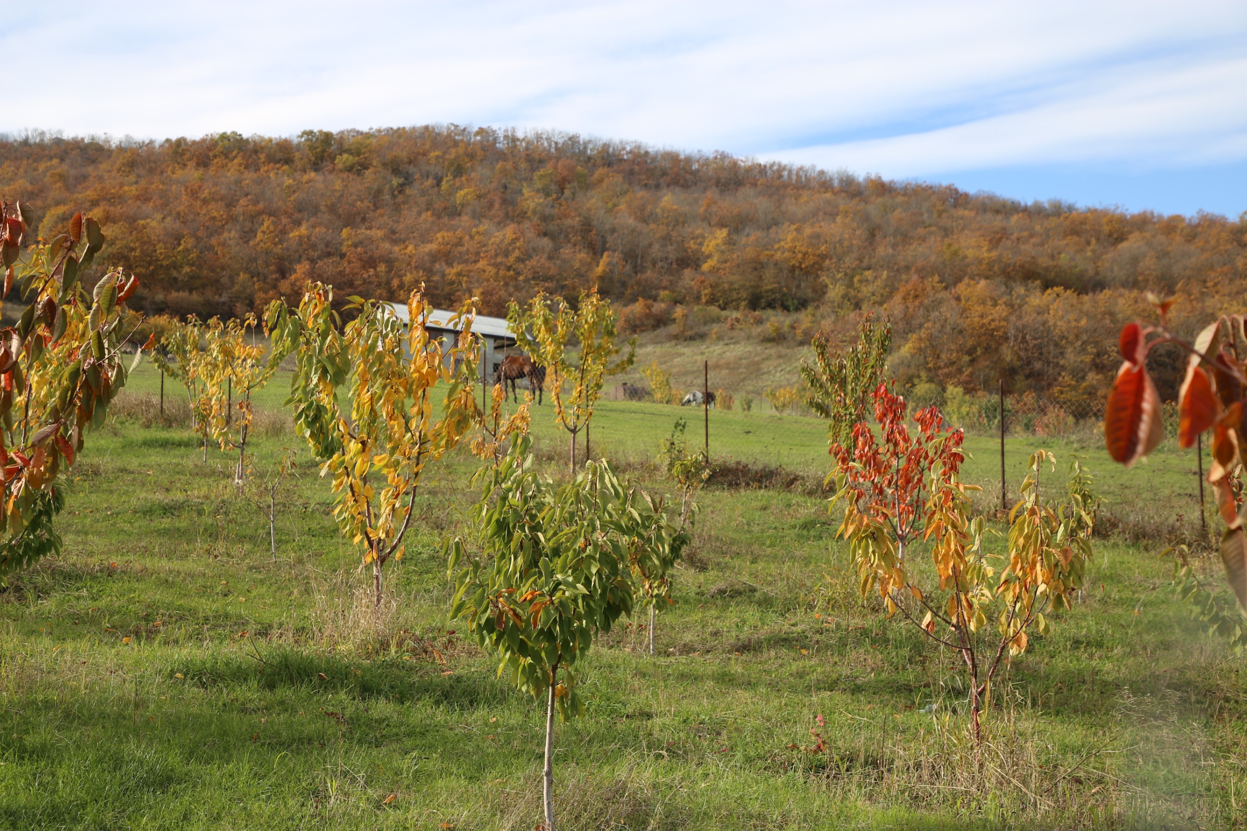 Сотрудники Минэкономразвития проверили ход реализации программы развития горных территорий в Казбековском районе